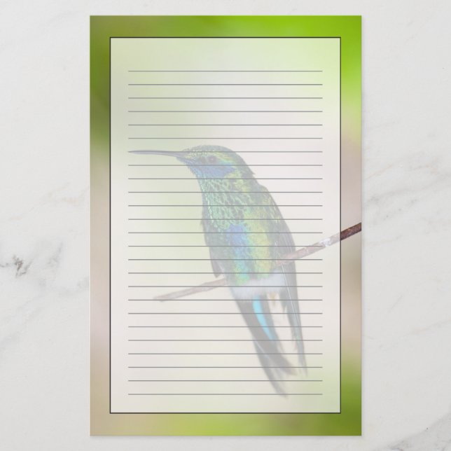Papelería Colibrí verde del Violeta-oído (Anverso)