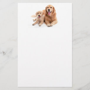 Papelería Compinches del golden retriever