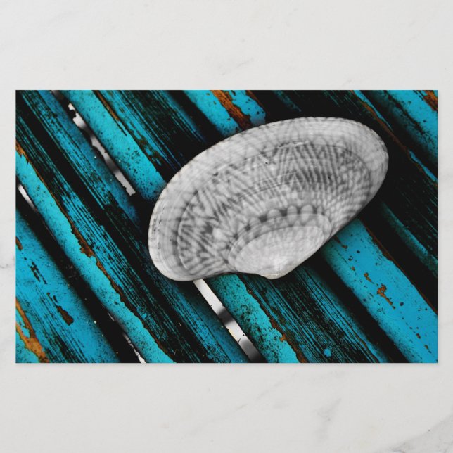 Papelería concha de mar (Anverso)