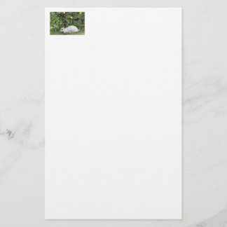 Papelería Conejo blanco y negro