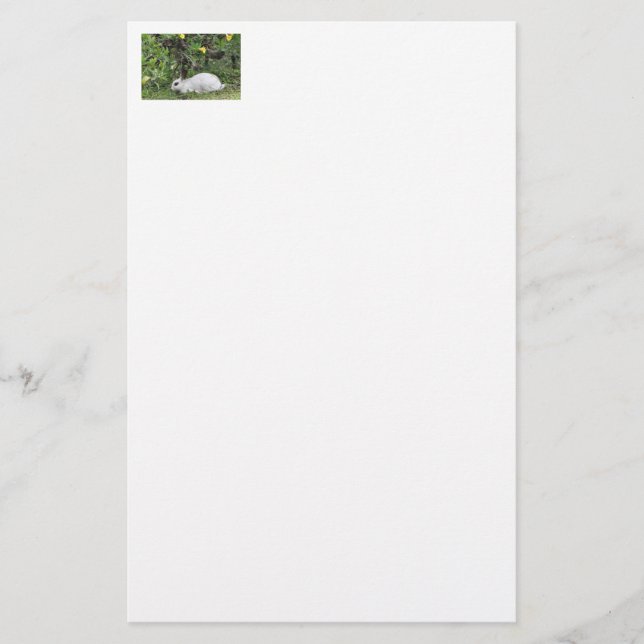 Papelería Conejo blanco y negro (Anverso)