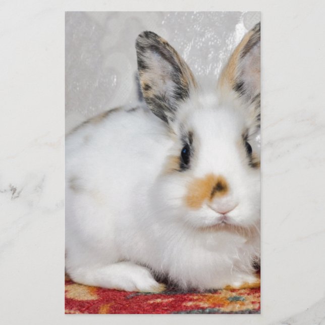 Papelería Conejo de Pascua (Anverso)