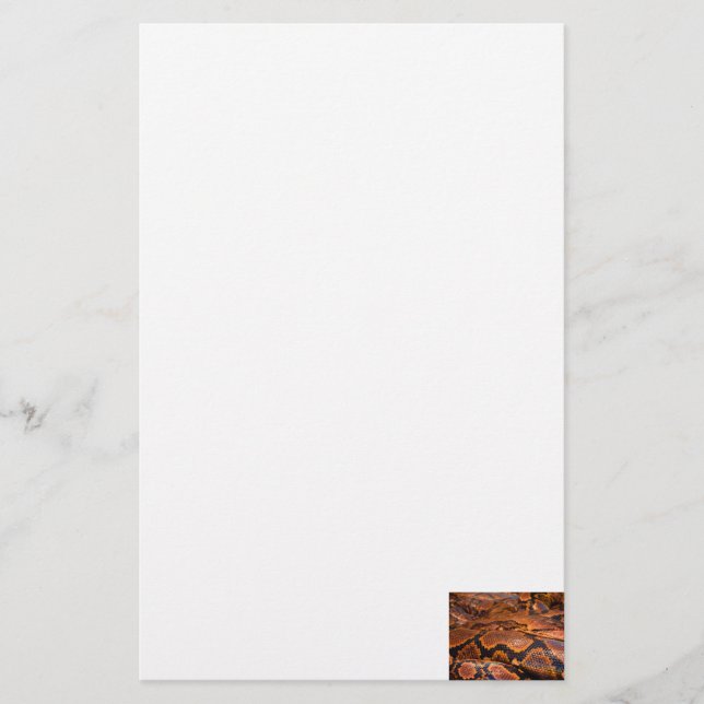 Papelería Constrictor de boa (Anverso)
