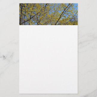 Papelería Cornelian Cherry Dogwood y Blue Sky Floral