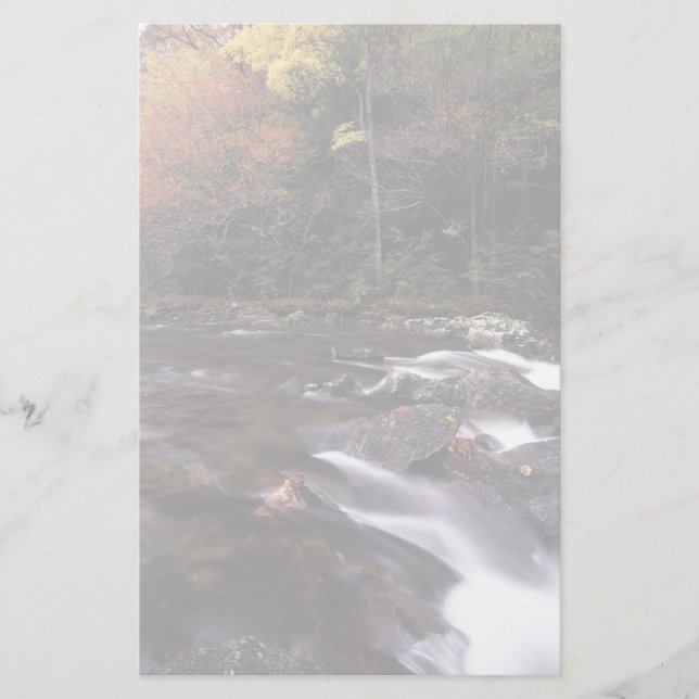 Papelería corriente del bosque (Anverso)