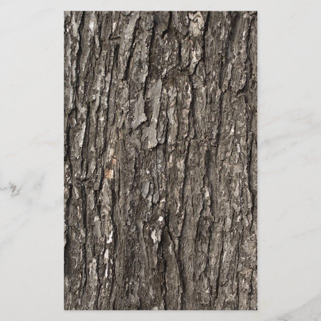 Papelería Corteza de árbol gruesa (Anverso)