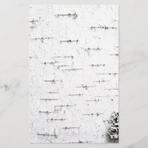 Papelería Corteza de Birch