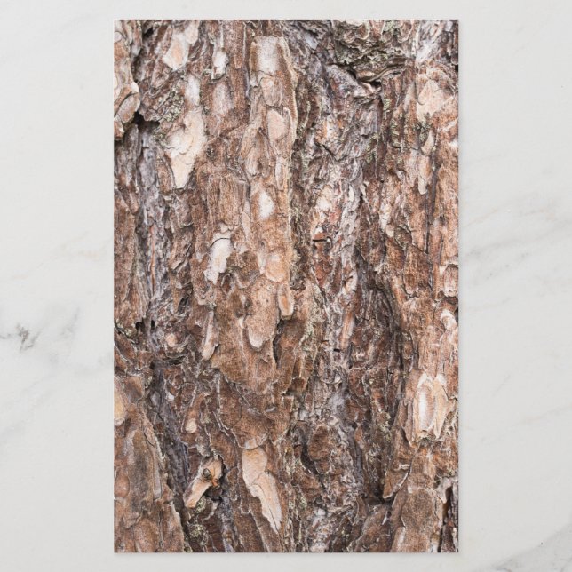 Papelería Corteza de Pine (Anverso)