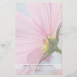 Papelería Cosmos rosados