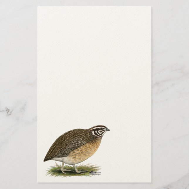 Papelería Coturnix Pharaoh Quail (Anverso)