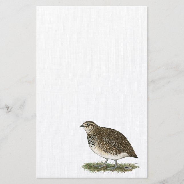 Papelería Coturnix Quail Hen (Anverso)