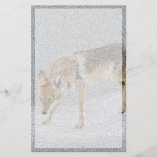 Papelería Coyote (Anverso)