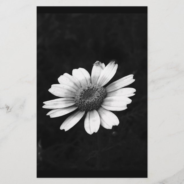 Papelería Crown Daisy (Anverso)