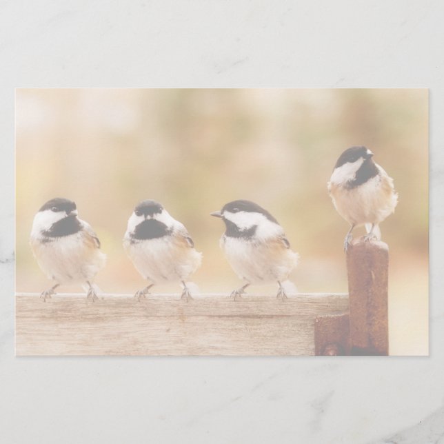 Papelería Cuatro Chickadees lindos (Anverso)