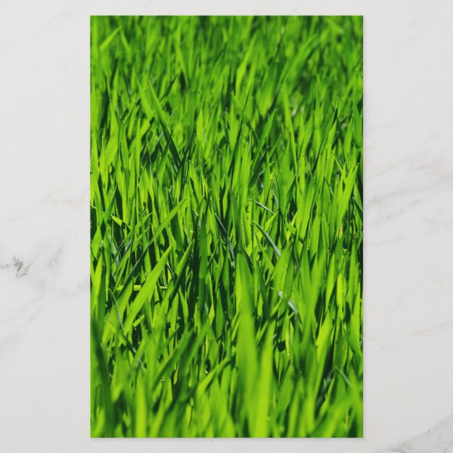 Papelería Cuchillas altas de hierba (Anverso)