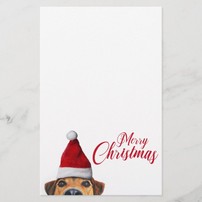 Papelería Curioso perro gracioso con Santa Hat (Anverso)