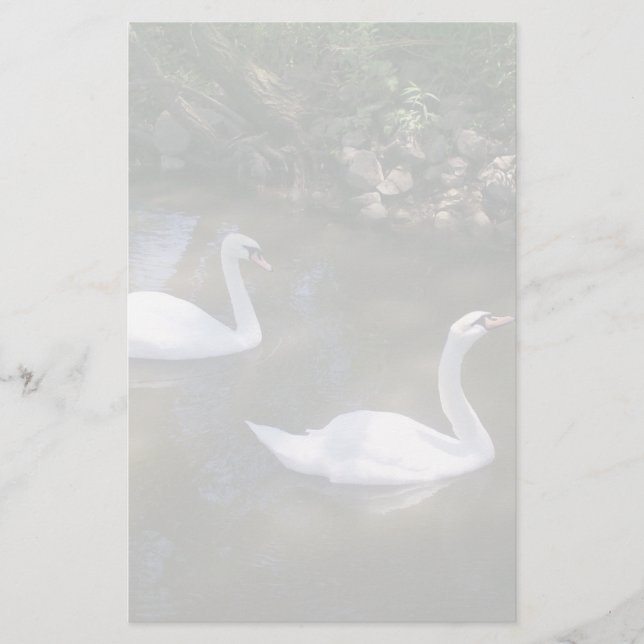 Papelería Curioso Stationery de cisnes (Anverso)