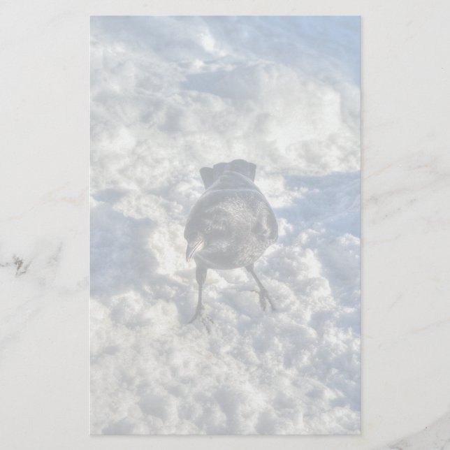 Papelería Cute Black Raven en la foto de la nieve (Anverso)