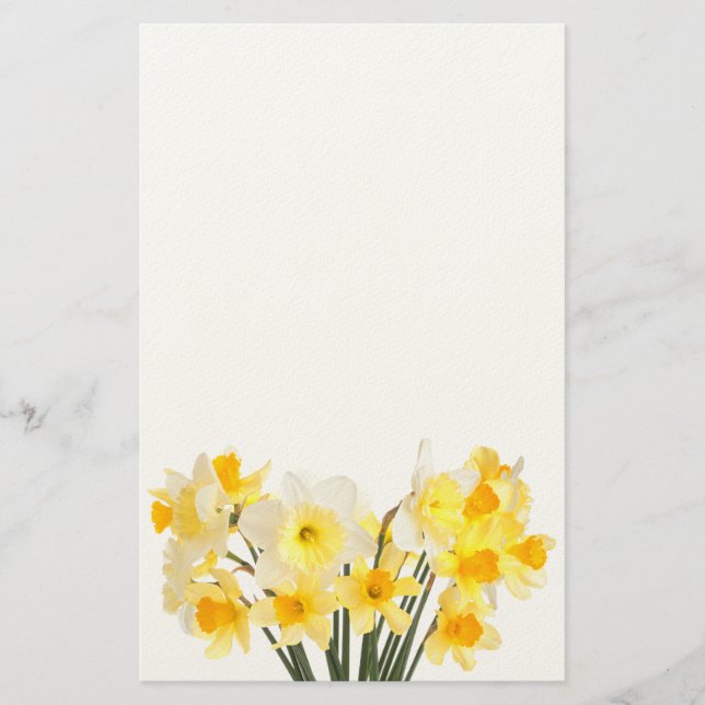 Papelería Daffodils Stationery (Anverso)