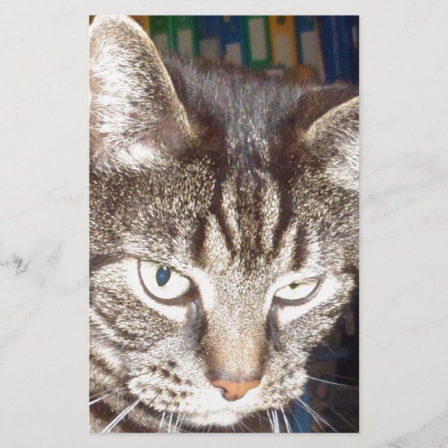 Papelería Dave's Watching You (Anverso)