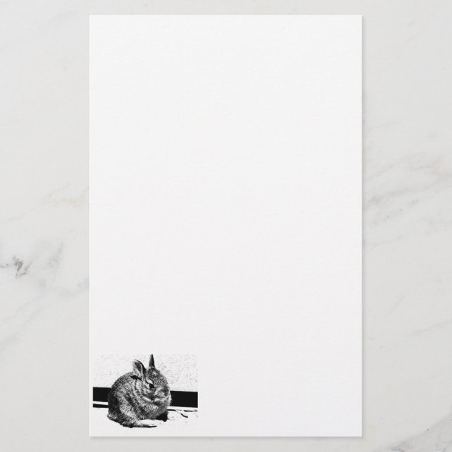 Papelería de conejo (Anverso)