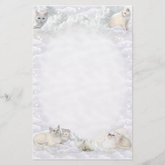 Papelería 😽 de gato blanco   (Anverso)