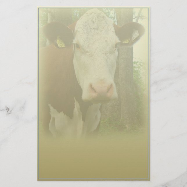 Papelería de la estación de la vaca curiosa (Anverso)