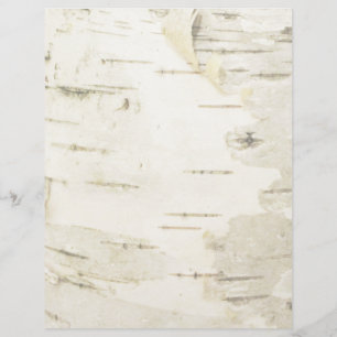 Papelería de oficina de Birch, membrete de Birch