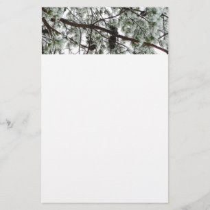 Papelería Debajo de la foto del invierno de un pino cubierto