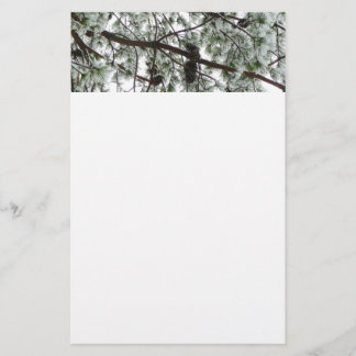 Papelería Debajo de la foto del invierno de un pino cubierto