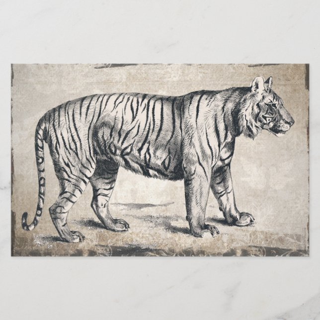 Papelería Decoración de tigres de vida silvestre (Anverso)