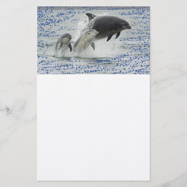 Papelería Delfines (Anverso)
