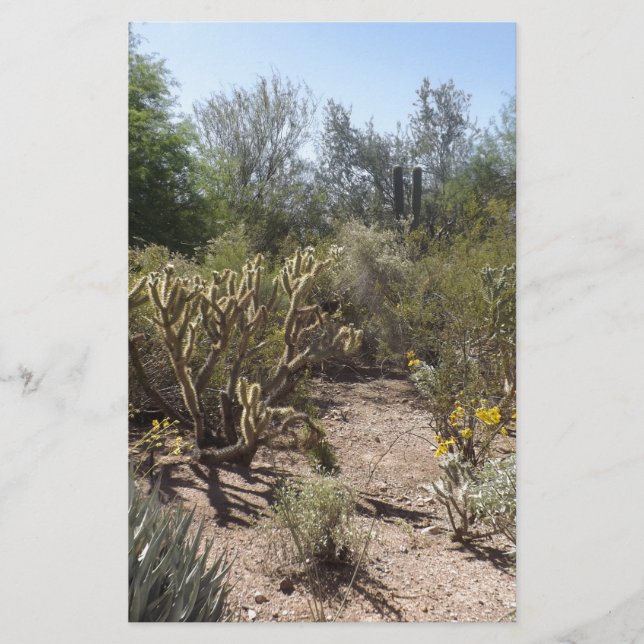 Papelería Desierto (Anverso)