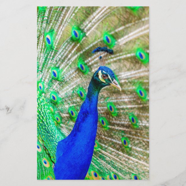 Papelería Desplome de pavo real (Anverso)