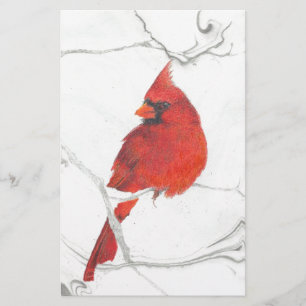Papelería Dibujo cardinal del invierno