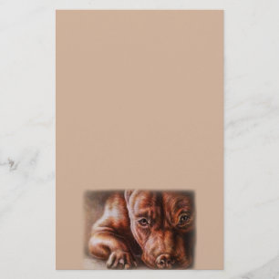 Papelería Dibujo de la cara del pitbull de Brown del perro