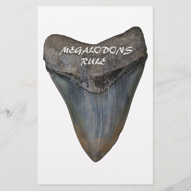 Papelería Diente del tiburón de Megalodon (Anverso)