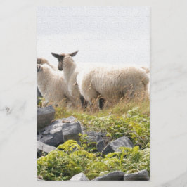 Papelería Diseños extravagantes - Oveja en un campo