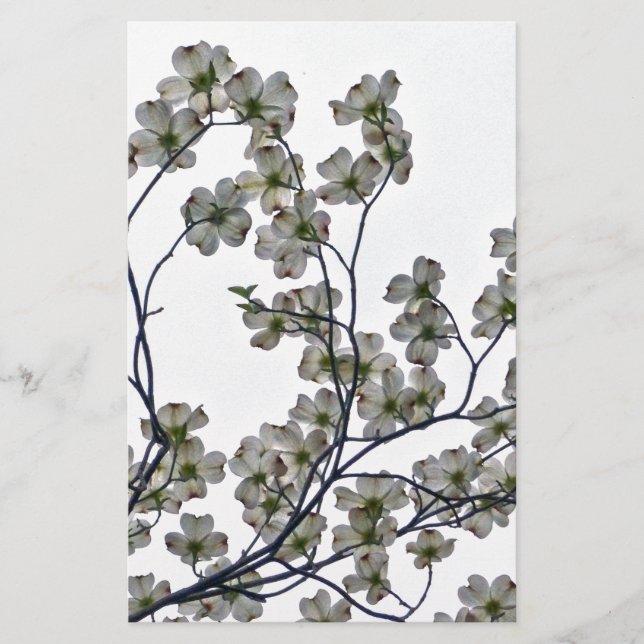 Papelería Dogwood florida blanca (Anverso)