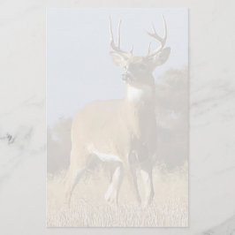 Papelería Dólar del Whitetail del otoño