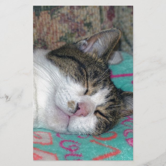 Papelería Dormir (Anverso)