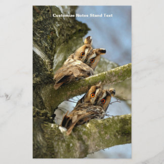 Papelería Dos búhos en el bosque, aves, vida silvestre