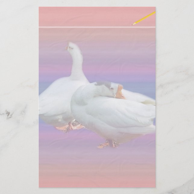 Papelería dos gansos blancos de fondo elegante (Anverso)