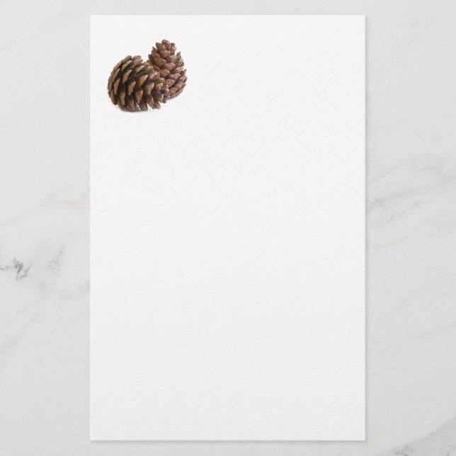Papelería Dos pinecones (Anverso)