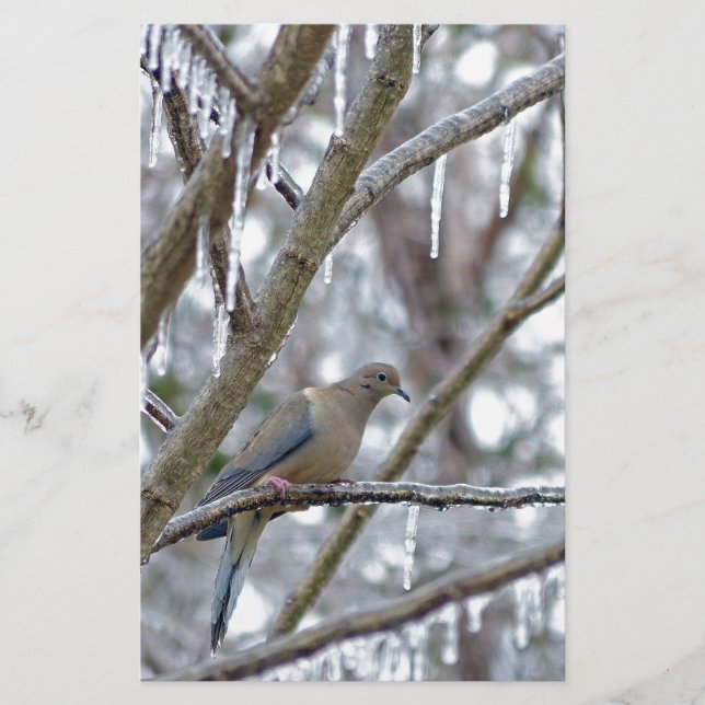 Papelería Dove de duelo (Anverso)