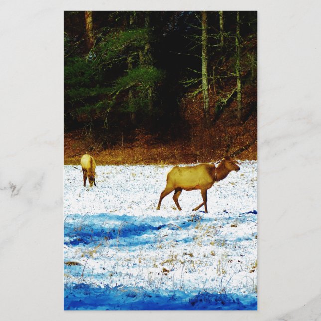 PAPELERÍA DSC00131.JPG (Anverso)