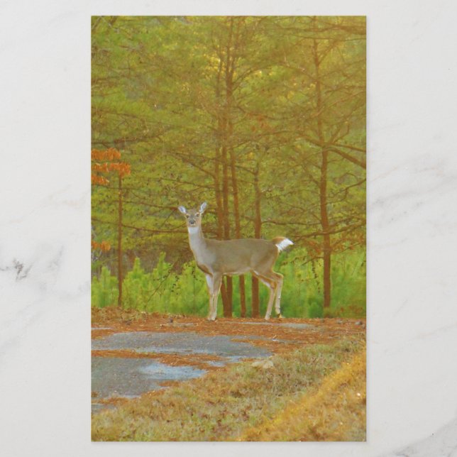 PAPELERÍA DSCF4041.JPG (Anverso)