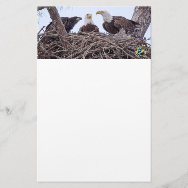 Papelería E9 y personalizado de la familia inmóvil (Anverso)