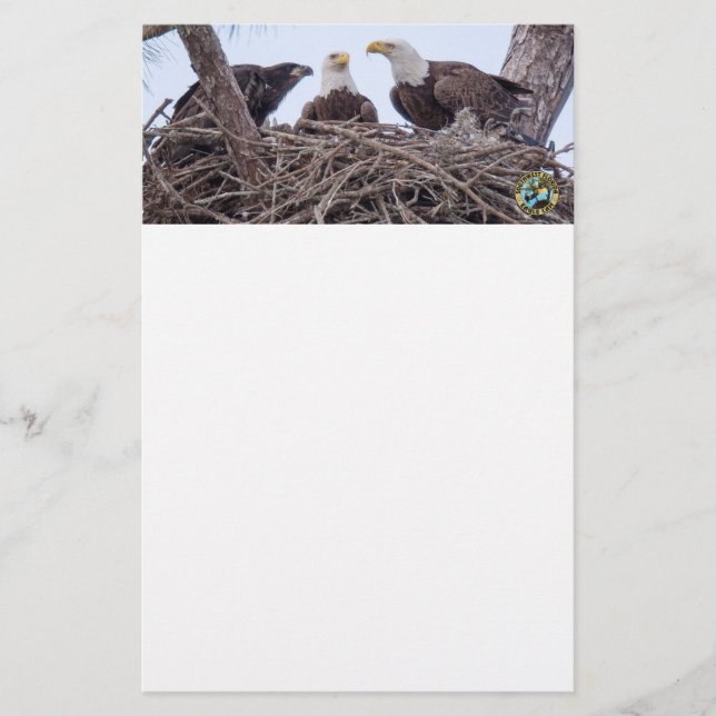 Papelería E9 y personalizado de la familia inmóvil (Anverso)