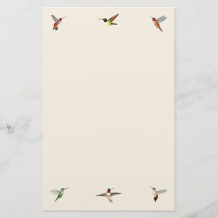 Papelería Ecru Hummingbird Stationery
